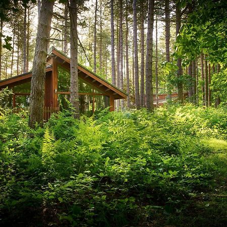 Blackwood Forest Cabins - Forest Holidays Popham Eksteriør billede