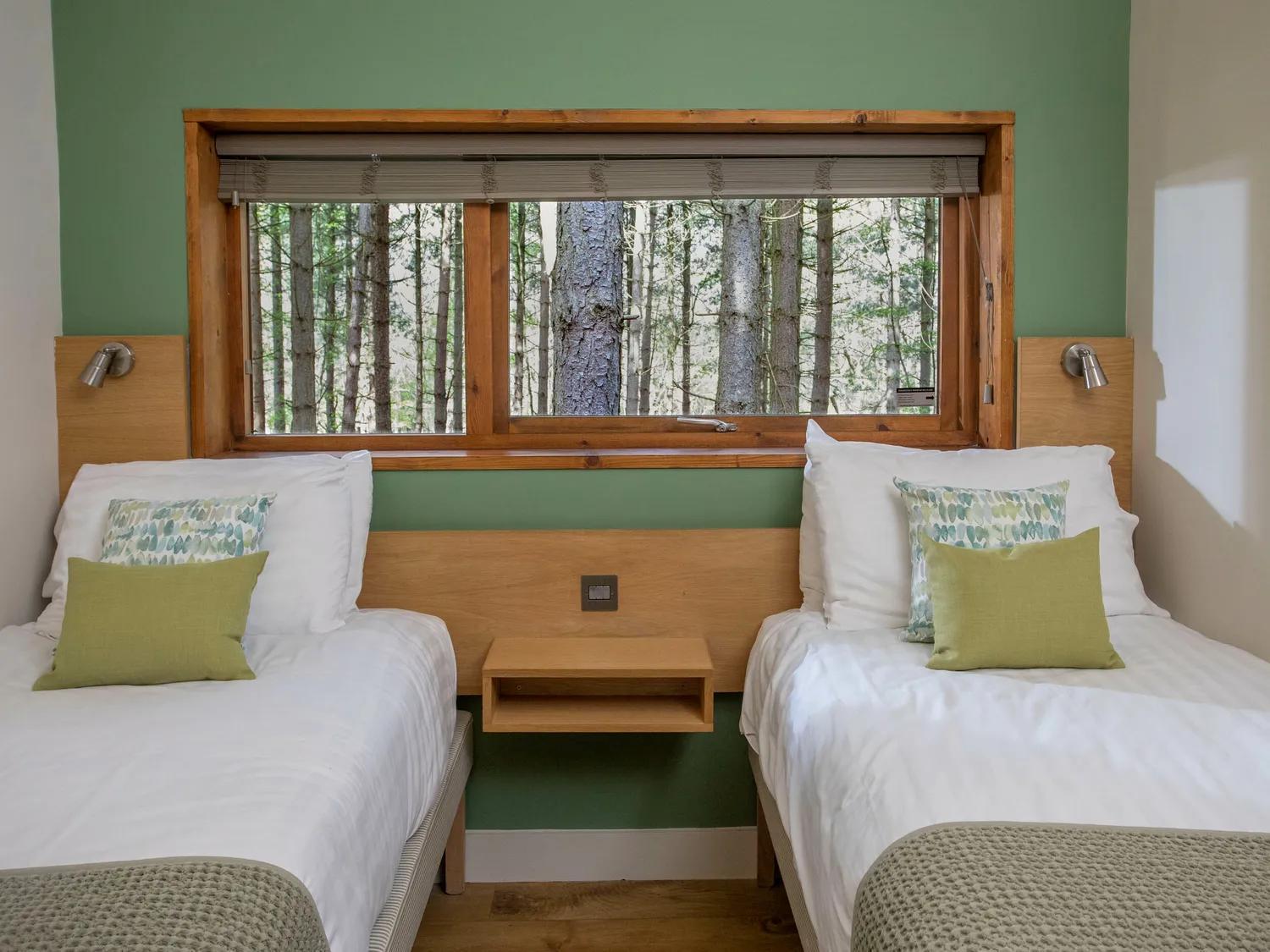 Blackwood Forest Cabins - Forest Holidays Popham Eksteriør billede