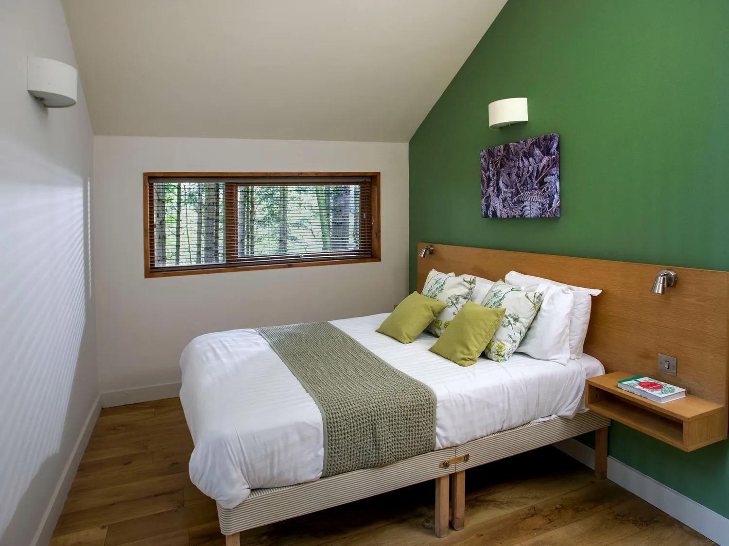 Blackwood Forest Cabins - Forest Holidays Popham Eksteriør billede