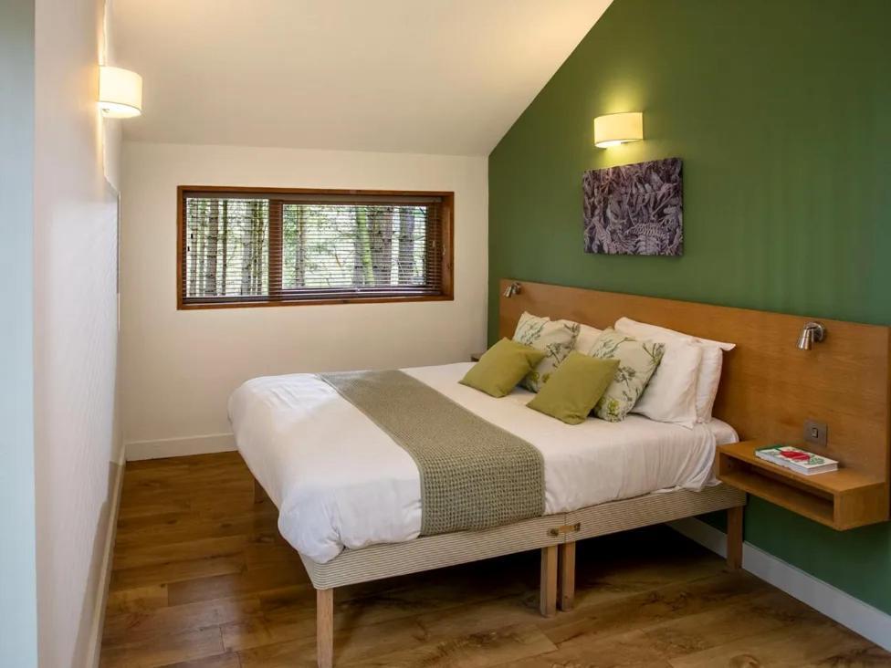 Blackwood Forest Cabins - Forest Holidays Popham Eksteriør billede
