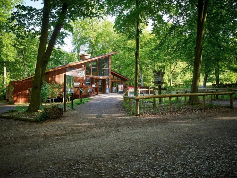 Blackwood Forest Cabins - Forest Holidays Popham Eksteriør billede