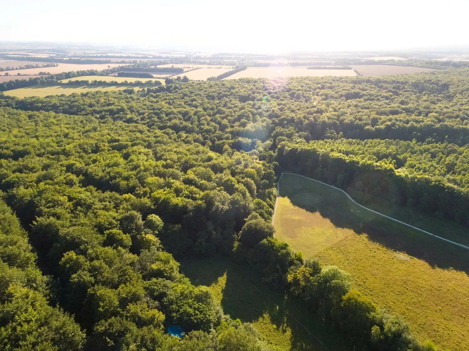 Blackwood Forest Cabins - Forest Holidays Popham Eksteriør billede