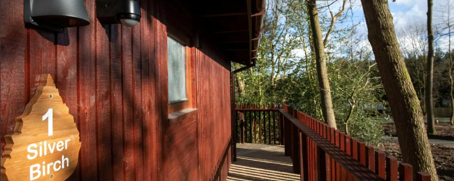 Blackwood Forest Cabins - Forest Holidays Popham Eksteriør billede