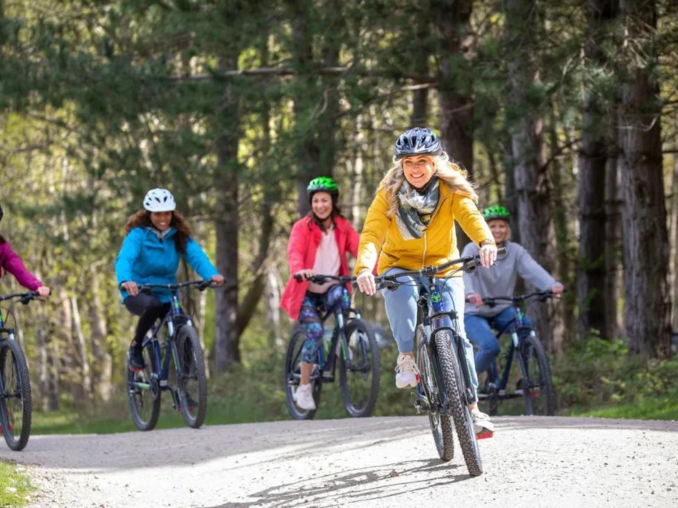 Blackwood Forest Cabins - Forest Holidays Popham Eksteriør billede
